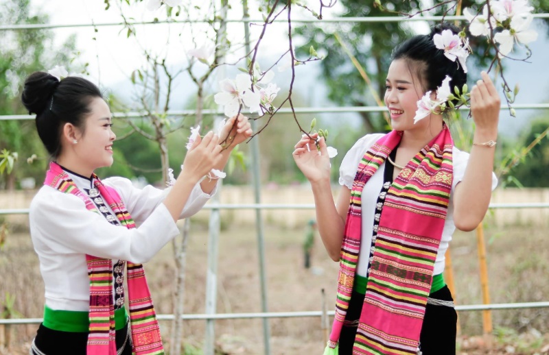 Thời tiết tại Yên Bái vào mùa xuân