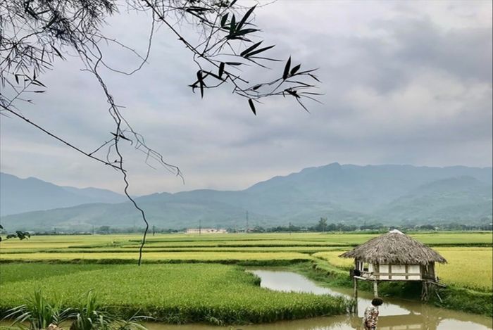 image kinh nghiem du lich nghia lo yen bai tu a den z 165666094014619