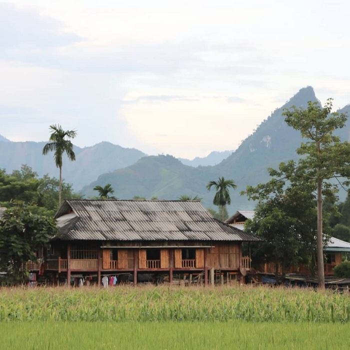 kinh nghiệm đi Mường Lò Yên Bái